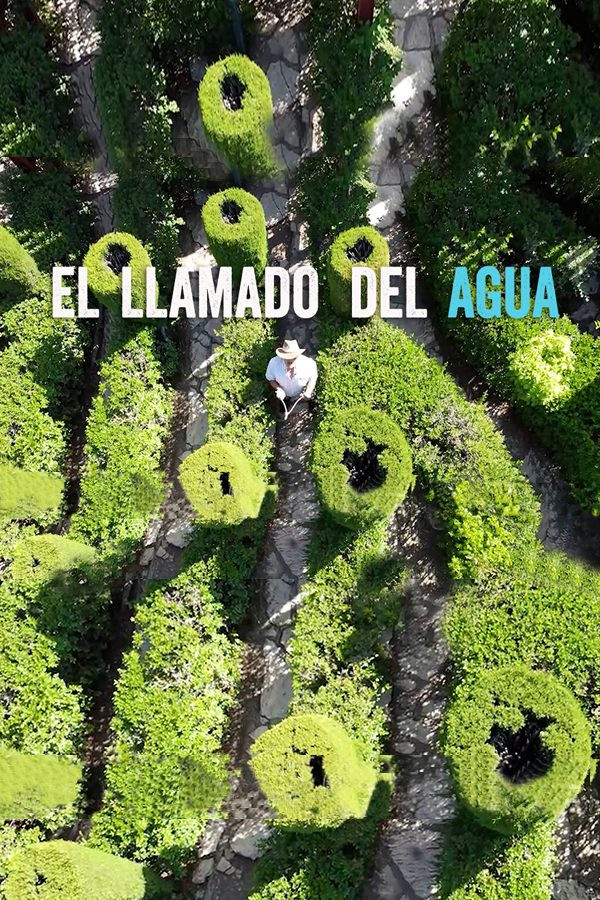 EL LLAMADO DEL AGUA