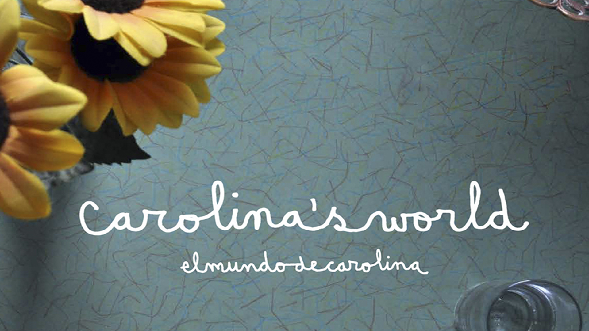 video-section-banner-image