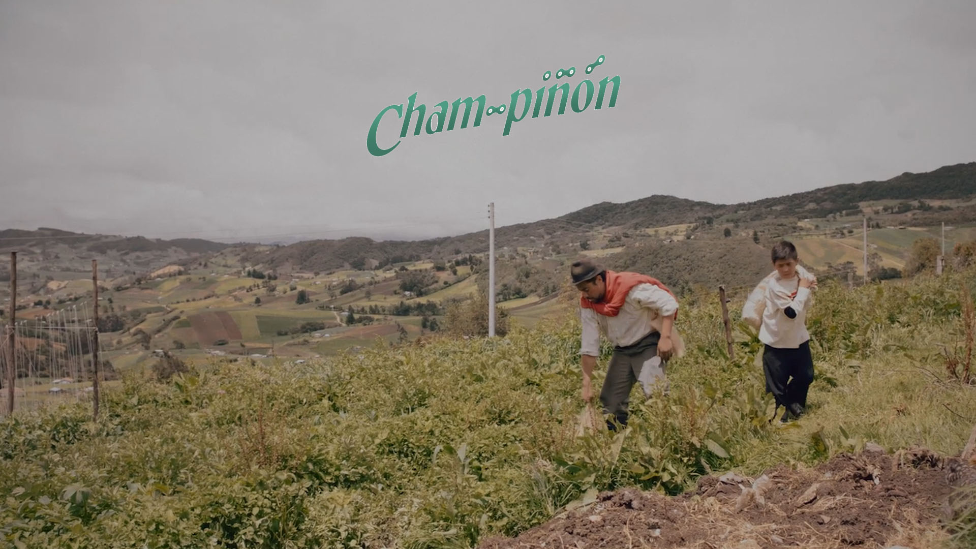 video-section-banner-image