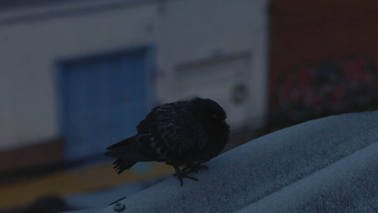 Short Films