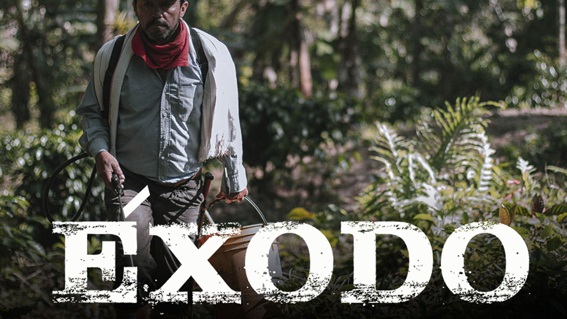 video-section-banner-image