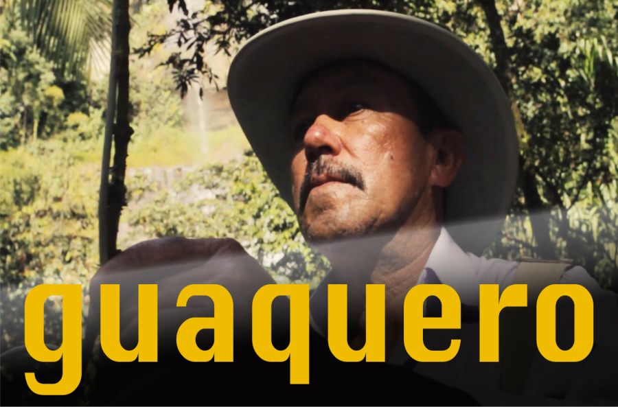 video-section-banner-image